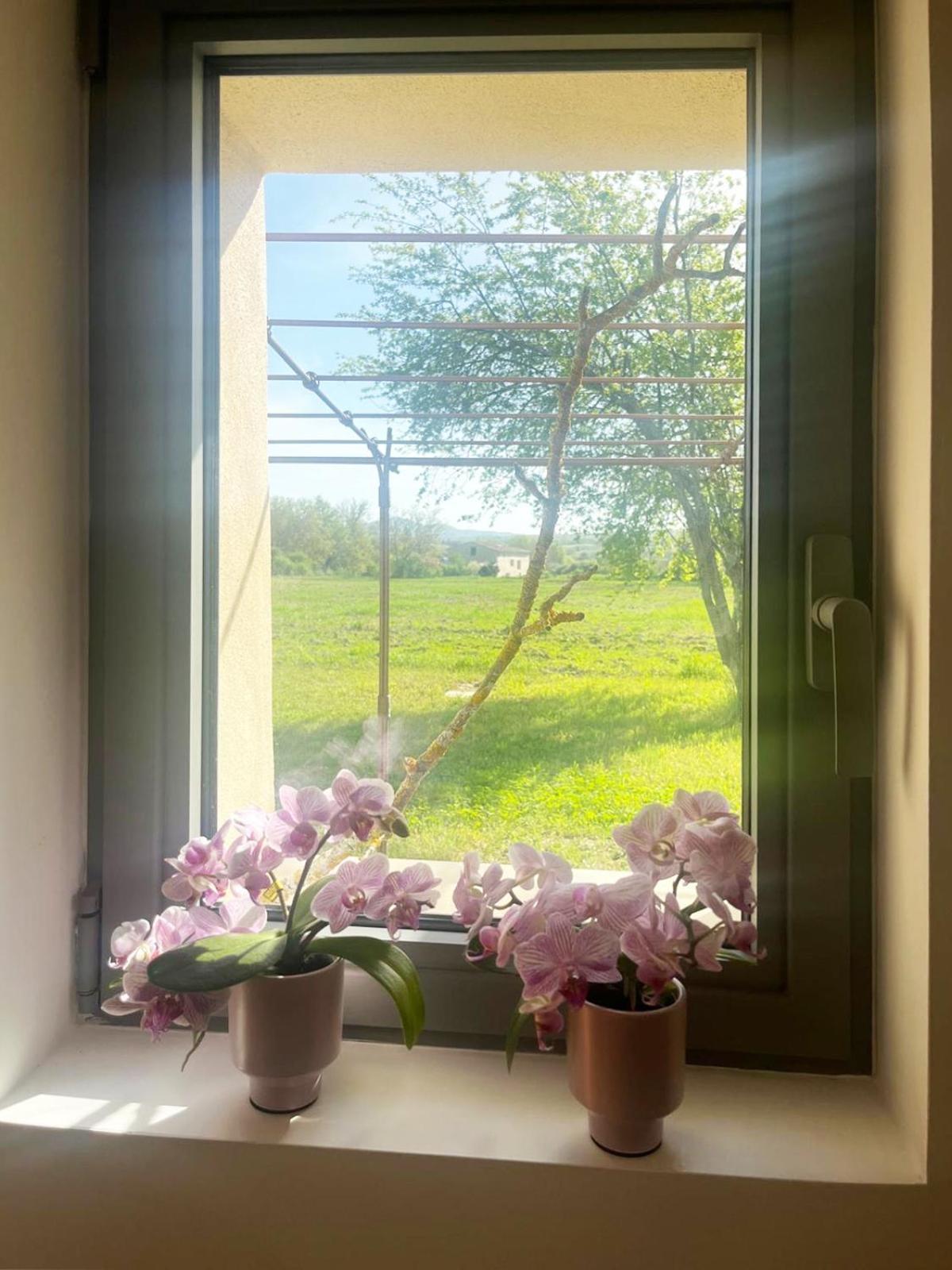 Вілла Le Petit Cabanon Provencal Mane  Екстер'єр фото