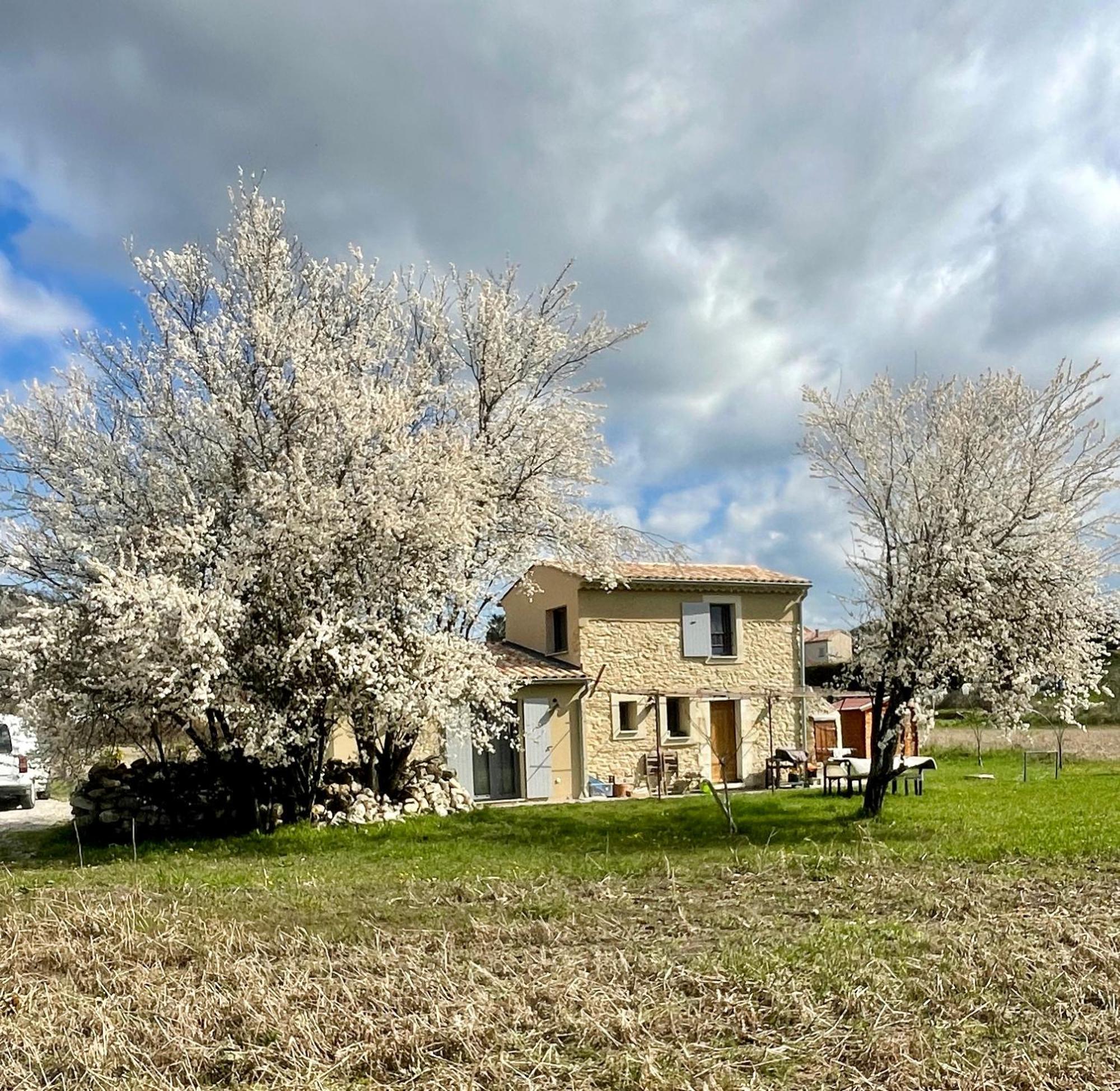 Вілла Le Petit Cabanon Provencal Mane  Екстер'єр фото